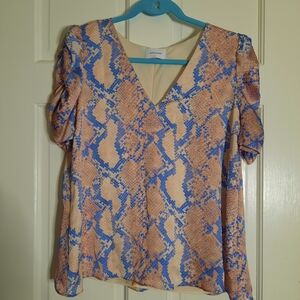 Adrienne Women's V-Neck Snake Print Blouse - Blue and Tan